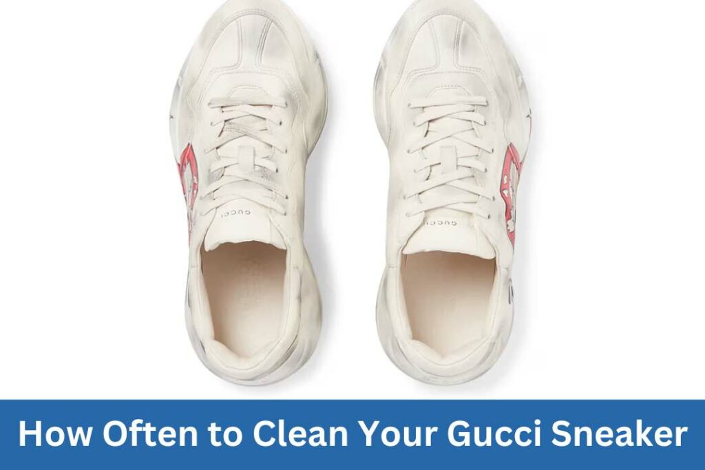 How Often to Clean Your Gucci Sneaker