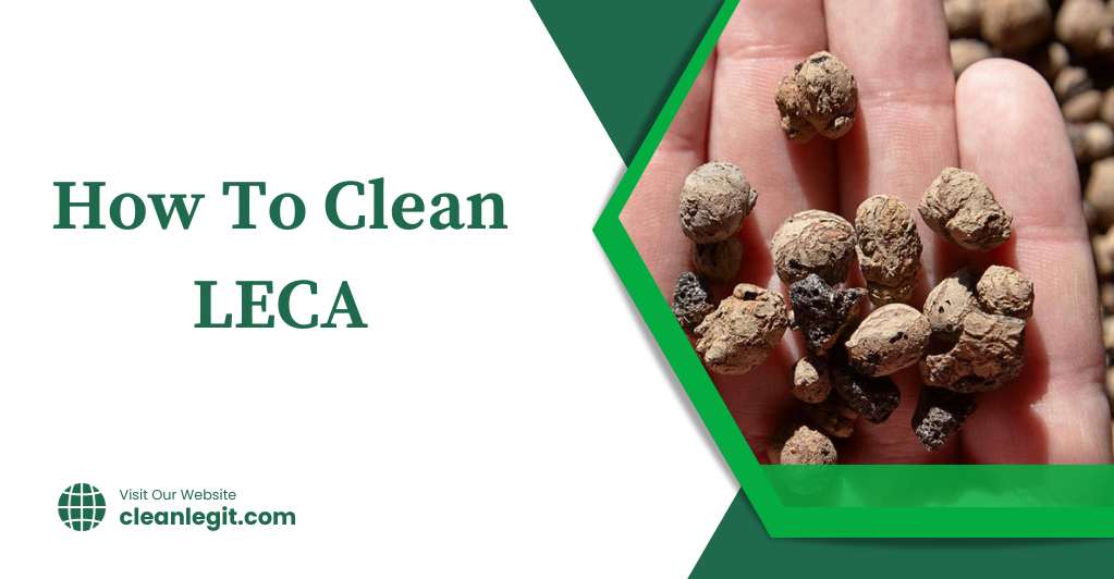 How To Clean LECA In 2023 Complete Beginners Guide