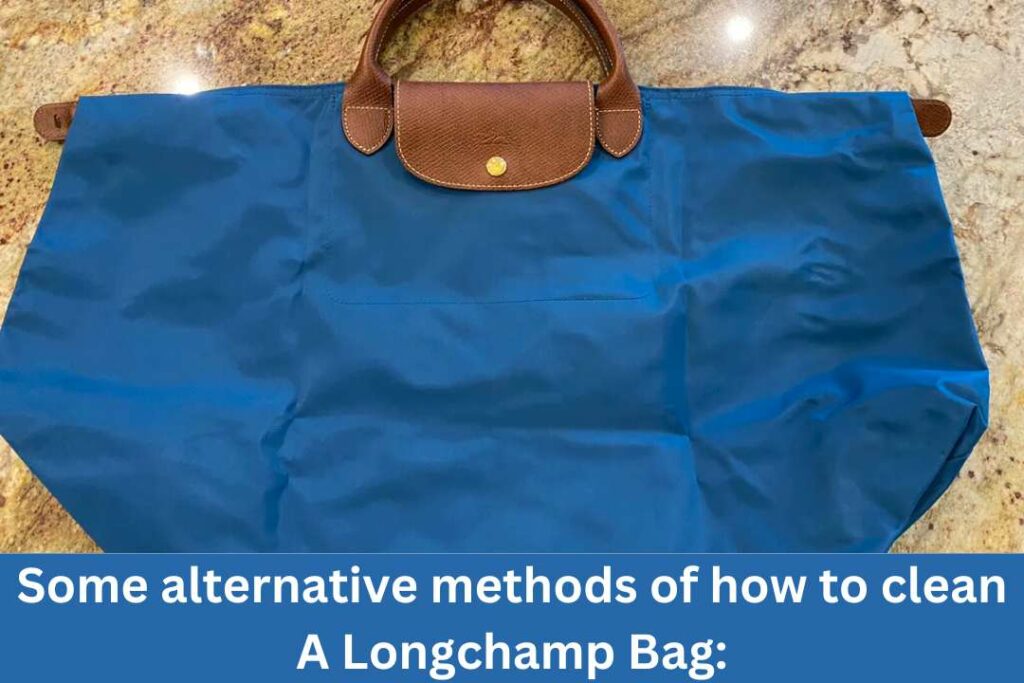 Some alternative methods of how to clean A Longchamp Bag: