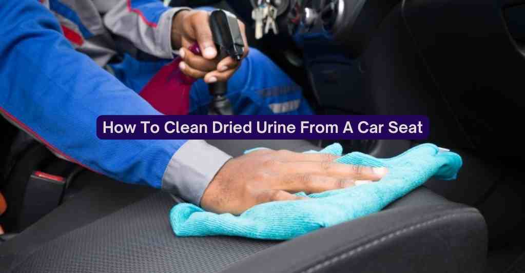 how-to-clean-dried-urine-from-a-car-seat