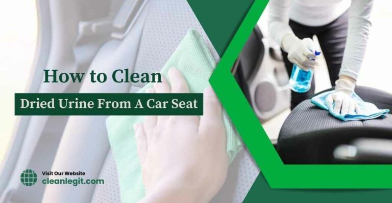 how-to-clean-dried-urine-from-a-car-seat