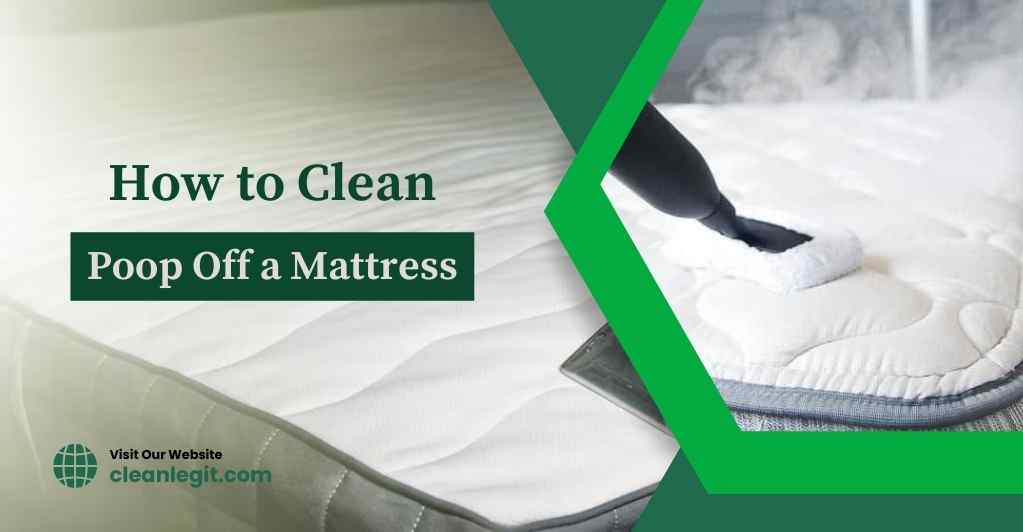poop-off-a-mattress-how-to-clean-poop-off-a-mattress_