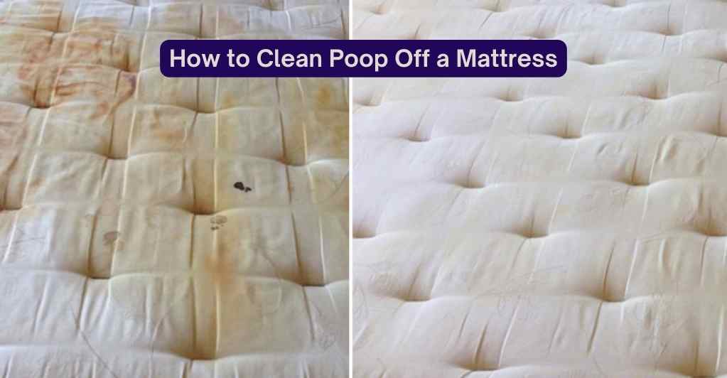 poop-off-a-mattress-how-to-clean-poop-off-a-mattress