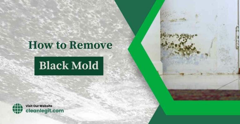 black-mold-removal-how-to-remove-black-mold