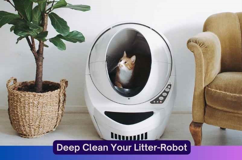 litter-robot-cleaning-how-to-deep-clean-your-litter-robot