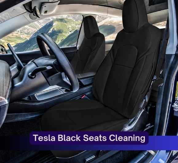 tesla-black-seat-cleaning-how-to-clean-tesla-black-seat-tesla-seat